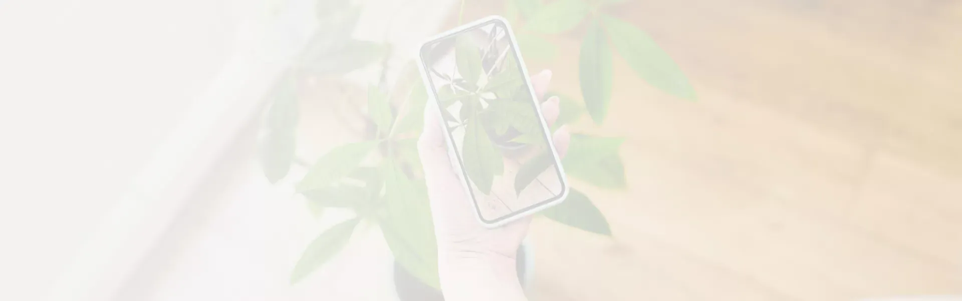 global-plant-identification-mobile-app